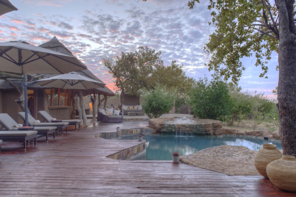 Las mejores ofertas de Rhulani Safari Lodge Madikwe Game Reserve