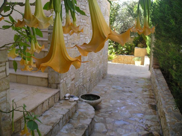 Las mejores ofertas de Eleonas Studios Aegina 