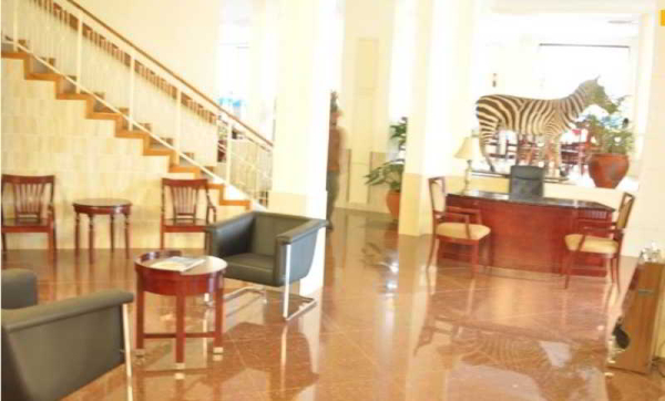 Las mejores ofertas de Nyumbani Hotels - Moshi Moshi 