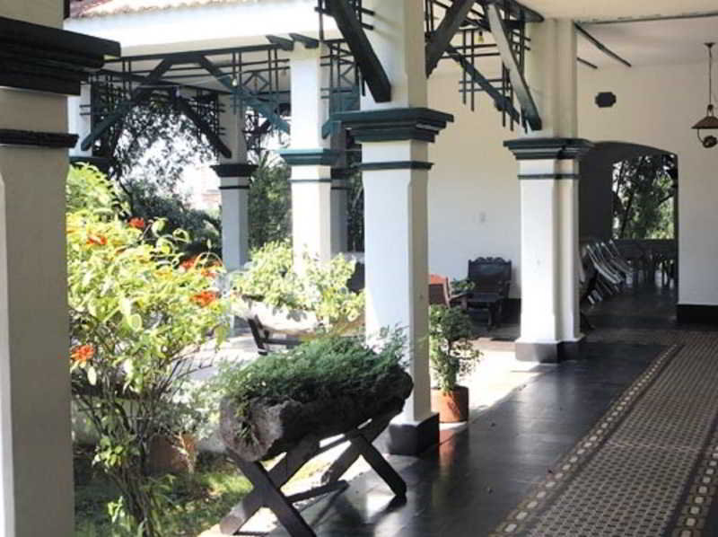 Las mejores ofertas de Matamundo Neiva