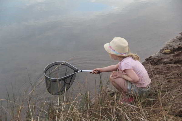 Las mejores ofertas de Forest Creek Lodge and Spa Mpumalanga