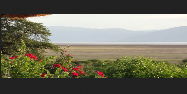 Las mejores ofertas de Manyara Wildlife Safari Camp Lake National Manyara park