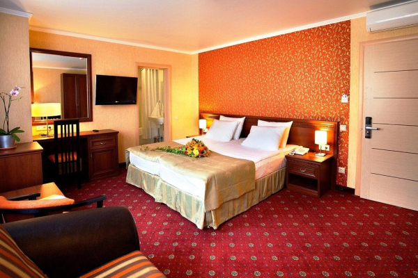 Las mejores ofertas de Aerohotel Krasnodar Krasnodar