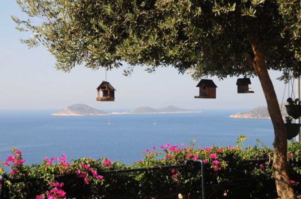 Las mejores ofertas de Ekinhan Hotel Kalkan