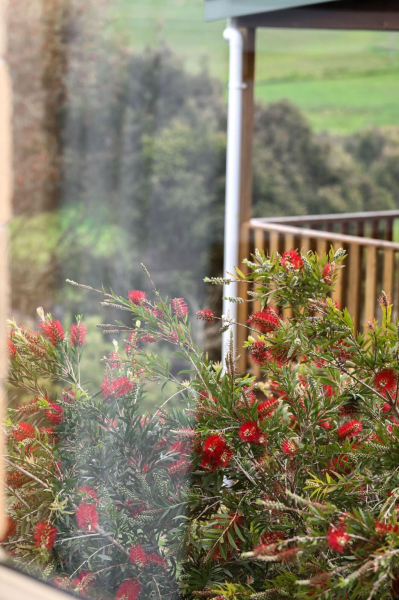 Las mejores ofertas de Daysy Hill Country Cottages Great Ocean Road