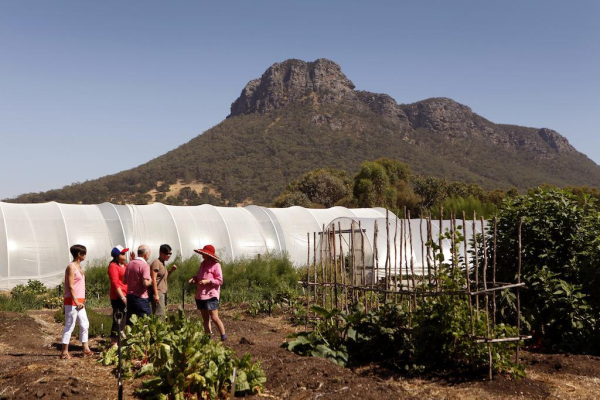 Las mejores ofertas de Royal Mail Hotel Grampians