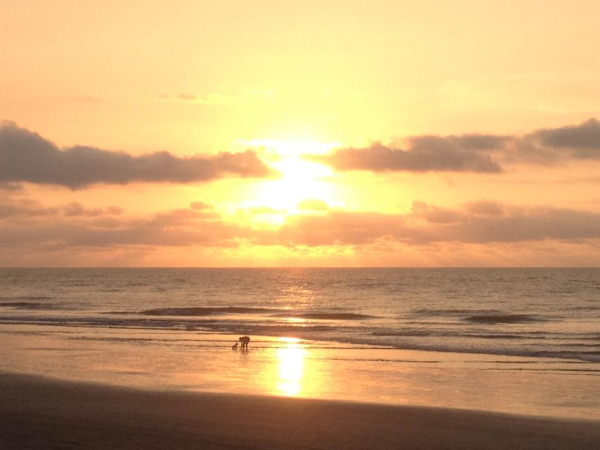 Las mejores ofertas de Casaymar Hotel Esmeraldas 