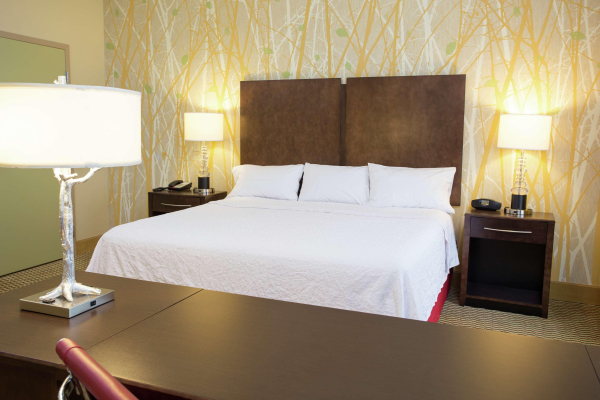 Las mejores ofertas de Hampton Inn & Suites Williamsport-Faxon Exit Du Bois 