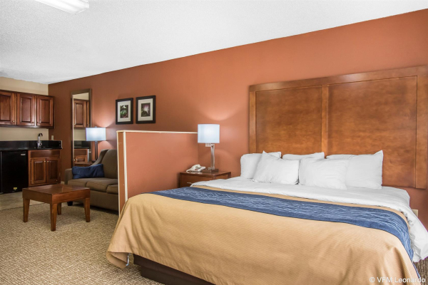 Las mejores ofertas de Comfort Inn Livingston Demopolis