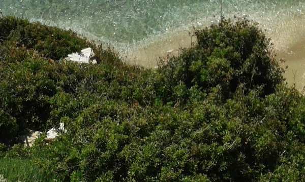 Las mejores ofertas de Kipri Apartments Andros 