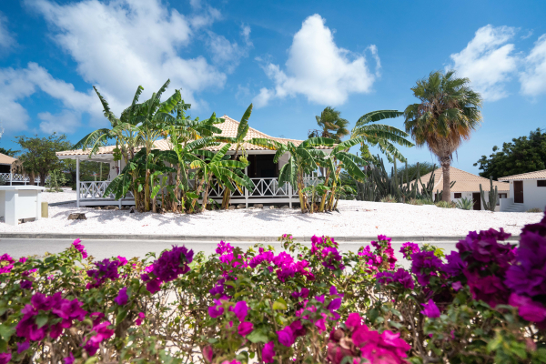 Las mejores ofertas de Papagayo Beach Resort Willemstad