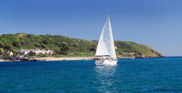 Las mejores ofertas de White House Channel Islands