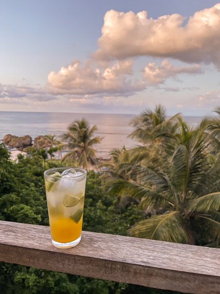 Las mejores ofertas de ECO Lifestyle & Lodge Saint Joseph