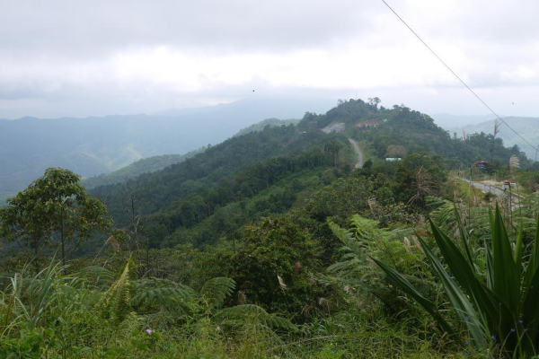 Las mejores ofertas de Kasih Sayang Health Resort Sabah