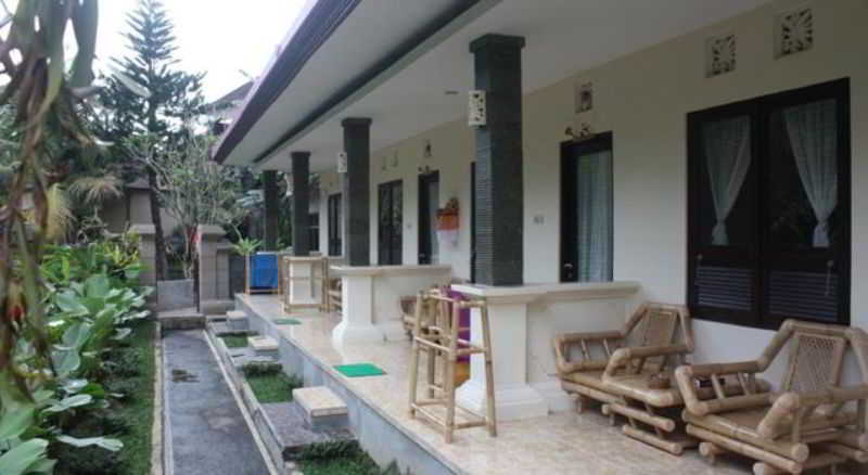 Citrus Tree B&B - Widia