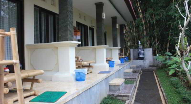 Citrus Tree B&B - Widia