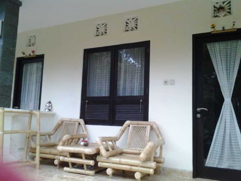 Citrus Tree B&B - Widia