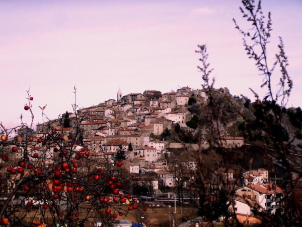 Las mejores ofertas de Robur Marsorum Silvi Marina