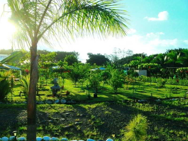 Las mejores ofertas de Villas Club Las Palmas Sarapiqui River