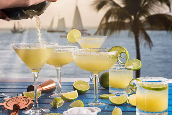 Las mejores ofertas de Opal Key Resort and Marina Florida Keys