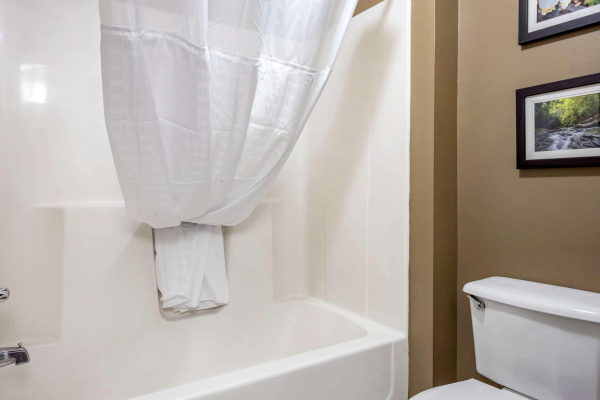 Las mejores ofertas de Comfort Inn Meadowlands Washington