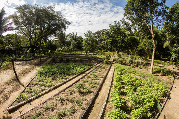 Las mejores ofertas de Biocentro Güembe Santa Cruz