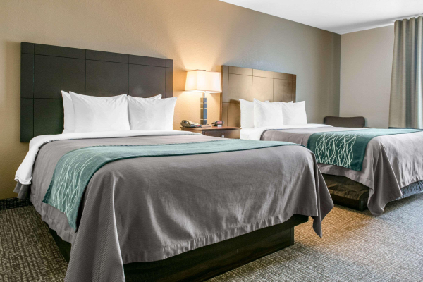 Las mejores ofertas de Comfort Inn & Suites Near Indiana Dunes State Park Gary
