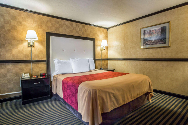 Las mejores ofertas de Econo Lodge Montpelier I-89 Burlington City