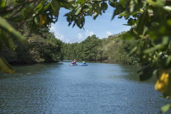 Las mejores ofertas de Pierre & Vacances Village Sainte Anne Saint François