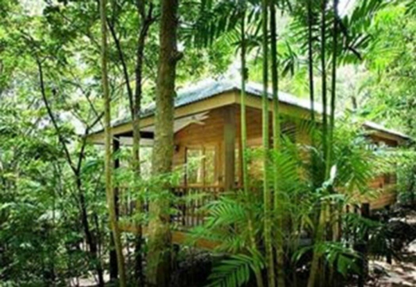 Las mejores ofertas de Thala Beach Nature Reserve Hervey Bay