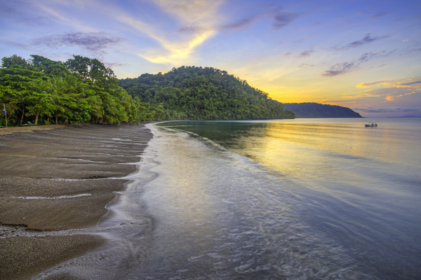 Las mejores ofertas de Playa Nicuesa Rainforest Lodge South Pacific Beaches In Costa Rica
