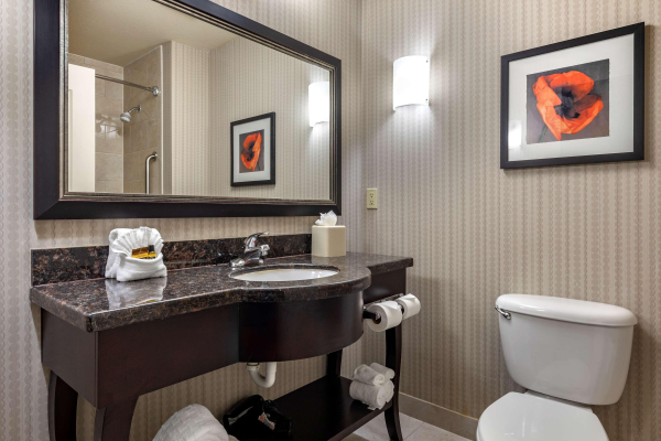 Las mejores ofertas de Best Western Plus DFW Airport West Euless Dallas