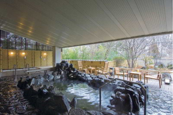 Las mejores ofertas de Nikko Senhime Monogatari Tochigi 