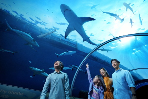 Las mejores ofertas de Resorts World Sentosa - Hotel Michael Isla Sentosa