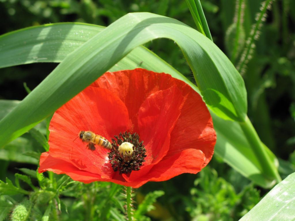 Las mejores ofertas de B&B La Zagara Trapani