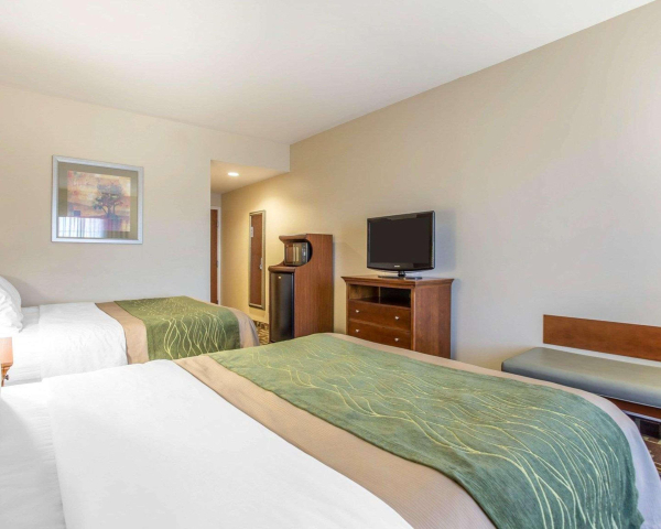 Las mejores ofertas de Comfort Inn & Suites Orangeburg Orangeburg