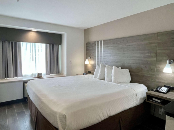 Las mejores ofertas de Best Western Roanoke Inn & Suites Roanoke 