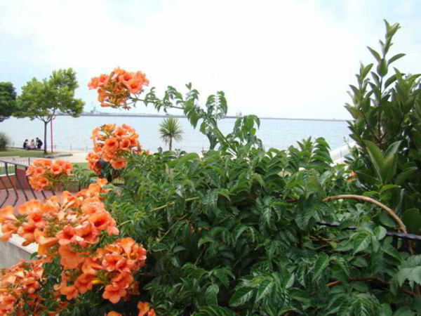 Las mejores ofertas de Elif Otel Zonguldak 