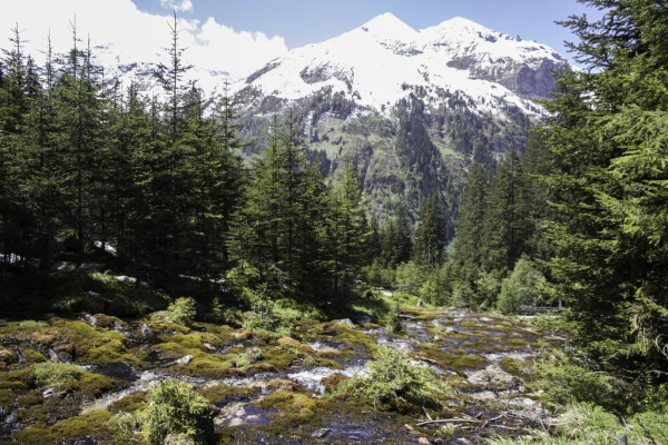 Las mejores ofertas de Andrelwirt Rauris