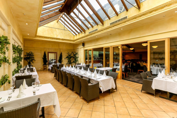 Las mejores ofertas de Plymouth International New Plymouth 