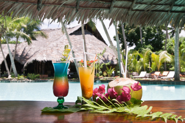 Las mejores ofertas de Ravintsara Wellness Nossi-bé