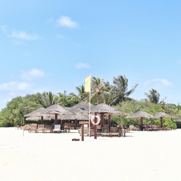 Las mejores ofertas de Palm Beach Island Resort & Spa Maldives Lhaviyani