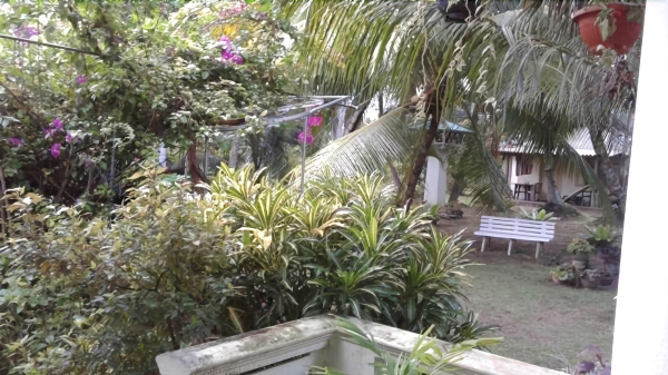 Las mejores ofertas de Paradise Beach Club Mirissa Matara