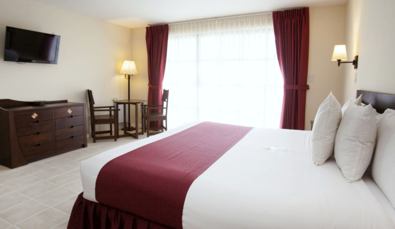 Las mejores ofertas de DM Andino La Paz