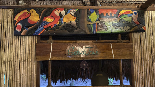 Las mejores ofertas de On Vacation Amazon Leticia