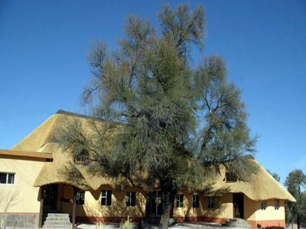 Las mejores ofertas de Hammerstein Lodge Sossusvlei
