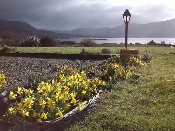 Las mejores ofertas de Currane Lodge KERRY