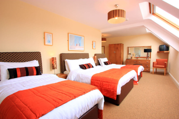 Las mejores ofertas de O'Donnabhain's Guesthouse KERRY