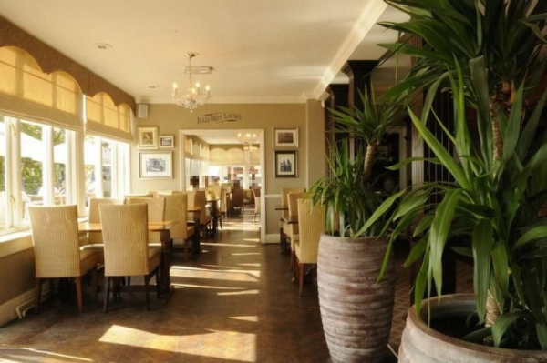 Las mejores ofertas de Royal Albion Singlewell