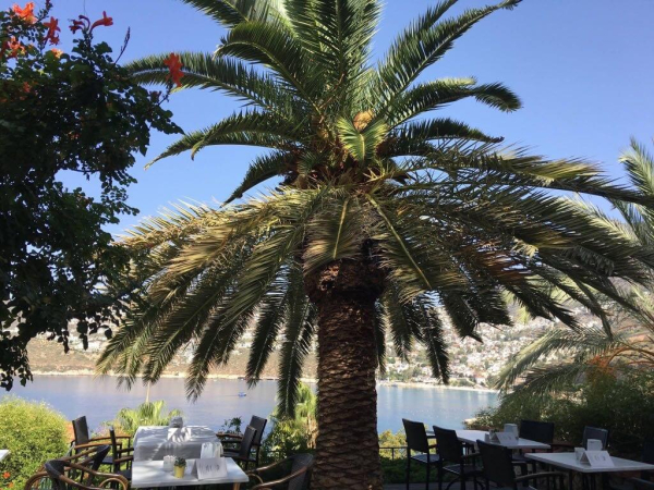Las mejores ofertas de Patara Prince Resort Kalkan